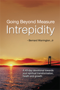 Going Beyond Measure--Intrepidity