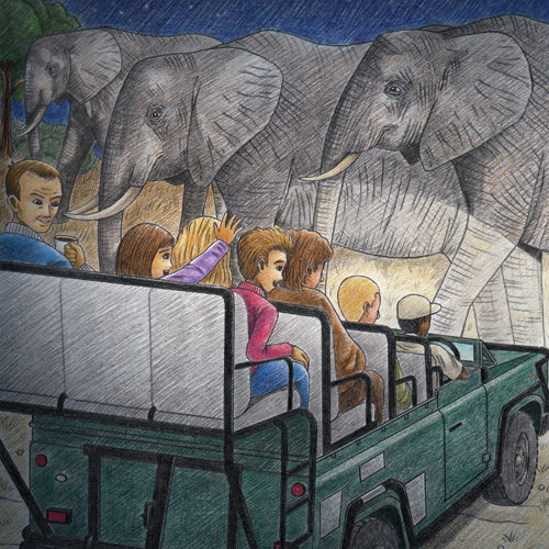 Colored-pencil custom book illustration