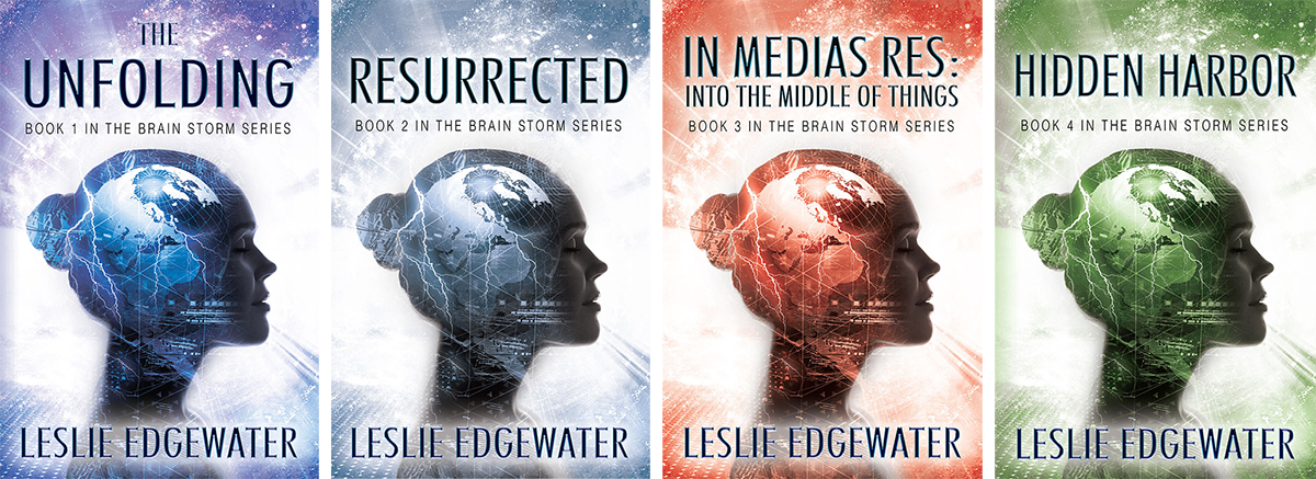 Coordinated book cover designs for a series