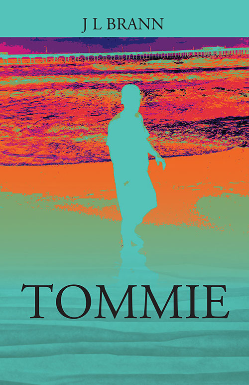 Standard fiction book cover example