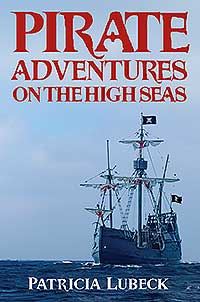 Pirate Adventures on the High Seas