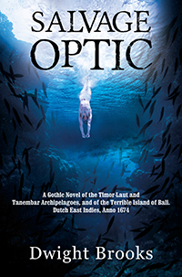 Salvage Optic