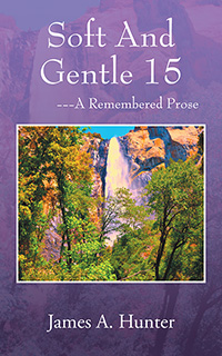 Soft And Gentle 15 (eBook Edition)