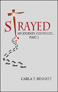 Strayed: My Journey Continues Part 2