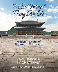 The Lost Forms of Tang Soo Do