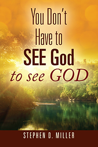 You Don't Have to SEE God to see GOD by Stephen D. Miller, published by ...